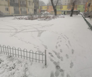 Śnieg zaskoczył Warszawę