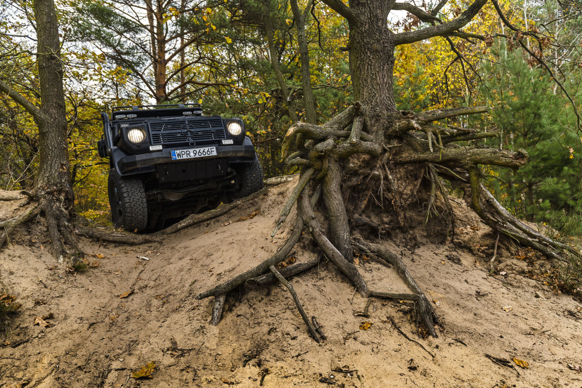 Mercedes-Benz Klasy G Edition Pur W461