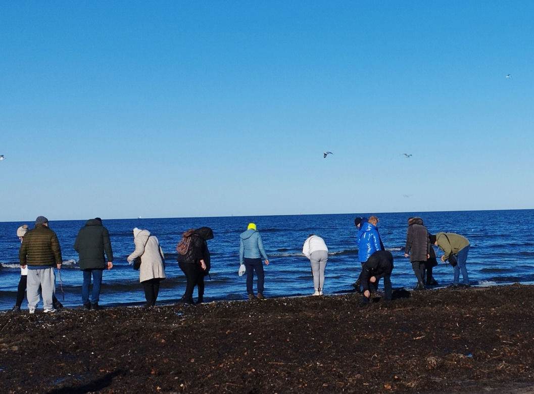 Poszukiwacze bursztynu na świnoujskiej plaży