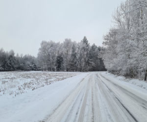 Zima na Podkarpaciu. Niezwykłe krajobrazy [ZDJĘCIA]