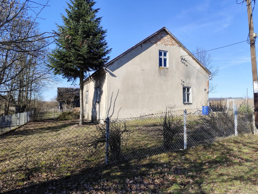 Tajemnicza śmierć braci w Domaniewicach