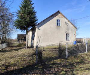 Tajemnicza śmierć braci w Domaniewicach