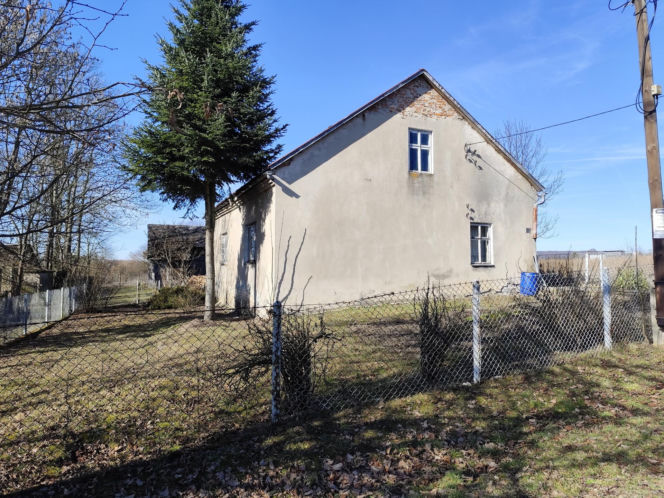 Tajemnicza śmierć braci w Domaniewicach