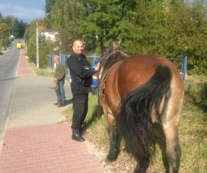 Człowiek guma, półnaga kobieta, wędkarz naturysta -czyli nietypowe interwencje Starży Miejskiej Starachowice