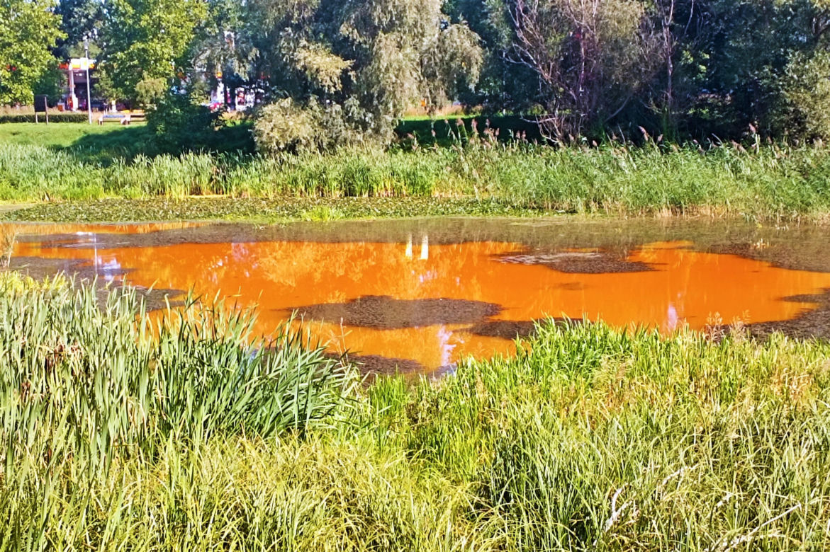 Zanieczyszczone Jezioro Słoneczne