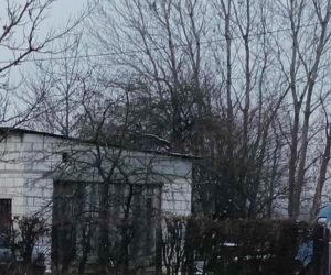 Radek i Robert byli nierozłączni. Skryli się przed mrozem, zabiły ich spaliny