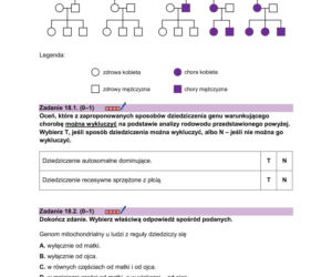 Matura 2026 z biologii ROZSZERZONEJ: arkusze CKE, poziom podstawowy [Formuła 2023] 08.05.2026
