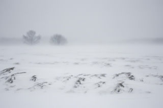 Siarczysty mróz uderza w Polskę. Sprawdź, gdzie warunki będą najgorsze i czego unikać?