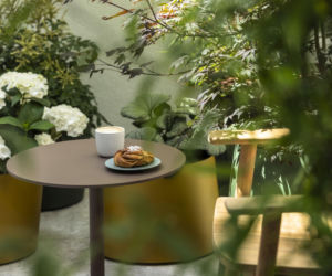 TRIBE Krakow Old Town