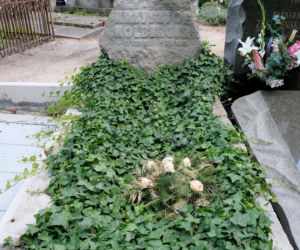 (Nie)Zapomniani Krzysztof Kolberger
