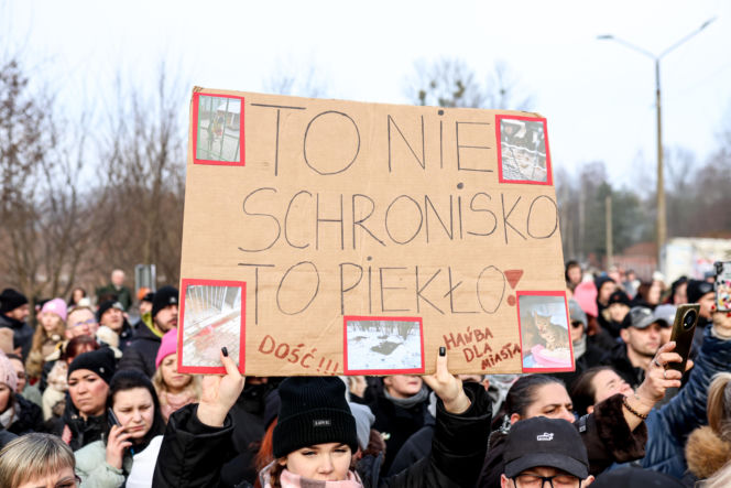 Miał być protest milczenia, doszło do awantury. Gorąco pod schroniskiem w Bytomiu