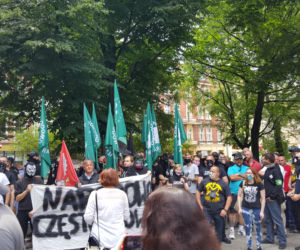 Marsz Katowice miastem nacjonalizmu 