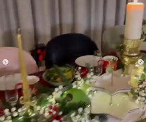 Pierniczki u Anny Lewandowskiej