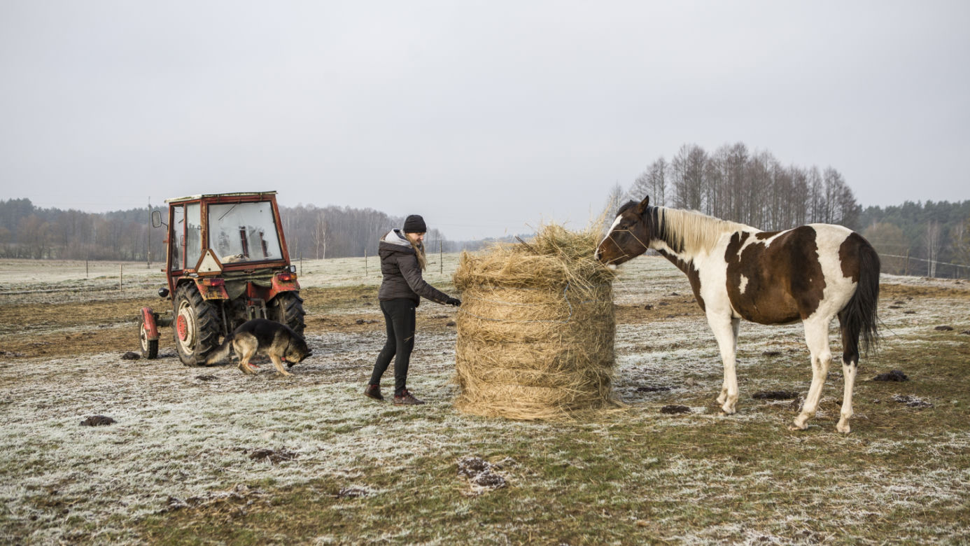 Rolnicy. Podlasie, odcinek 5 [11.04.2021]	
