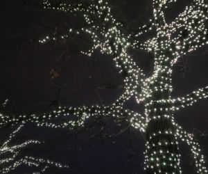 W Warszawie rozbłysła świąteczna iluminacja