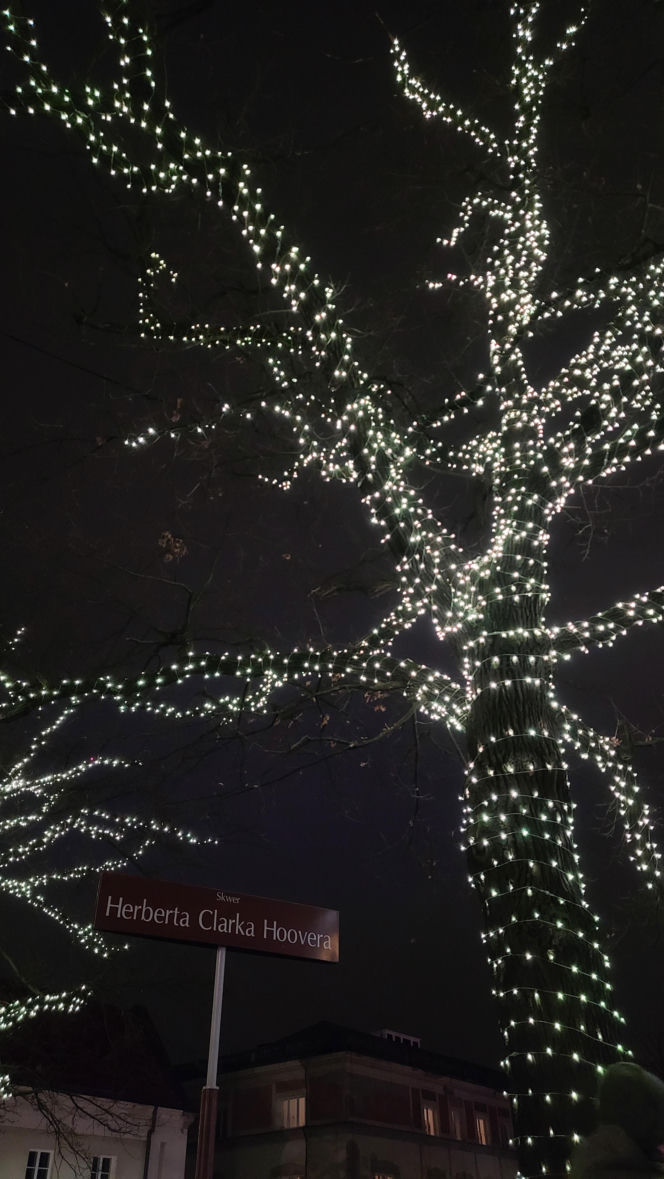 W Warszawie rozbłysła świąteczna iluminacja