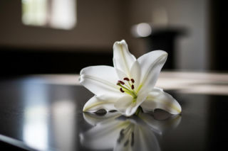 Pogrzeb Agnieszki Maciąg. Rodzina ma ważną prośbę dotyczącą uroczystości