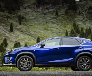 Iga Świątek jeździ Lexusem NX 300h F Sport