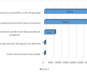 Olsztyn. Policjanci podsumowali rok 2020 na drogach
