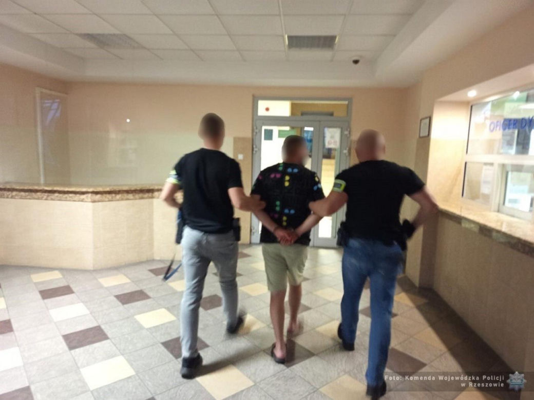 32 zatrzymanych na Podkarpaciu