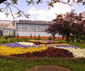 Sanatorium Włókniarz Busko-Zdrój