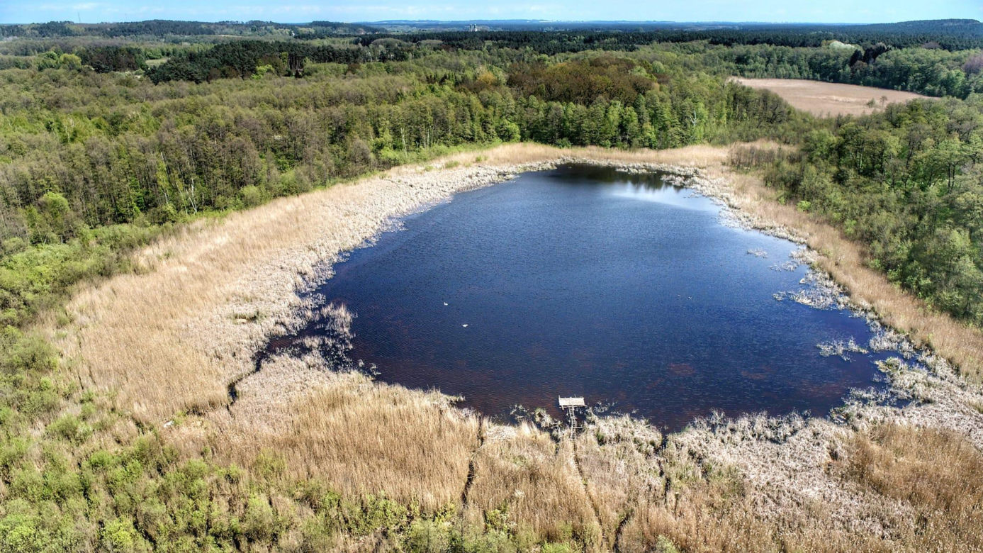 Jezioro Czarne w Lubuskiem, w gminie Świebodzin
