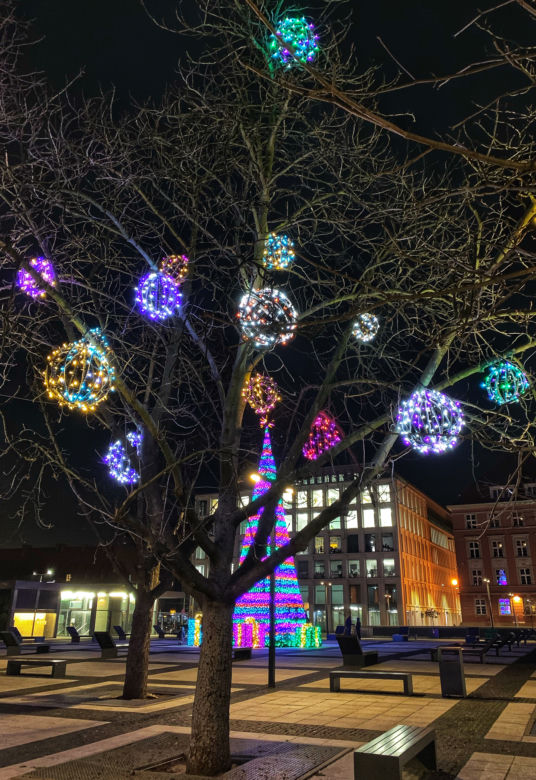 Świąteczne iluminacje we Wrocławiu