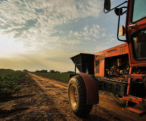 Przegląd maszyn odkładasz na wiosnę? To błąd!