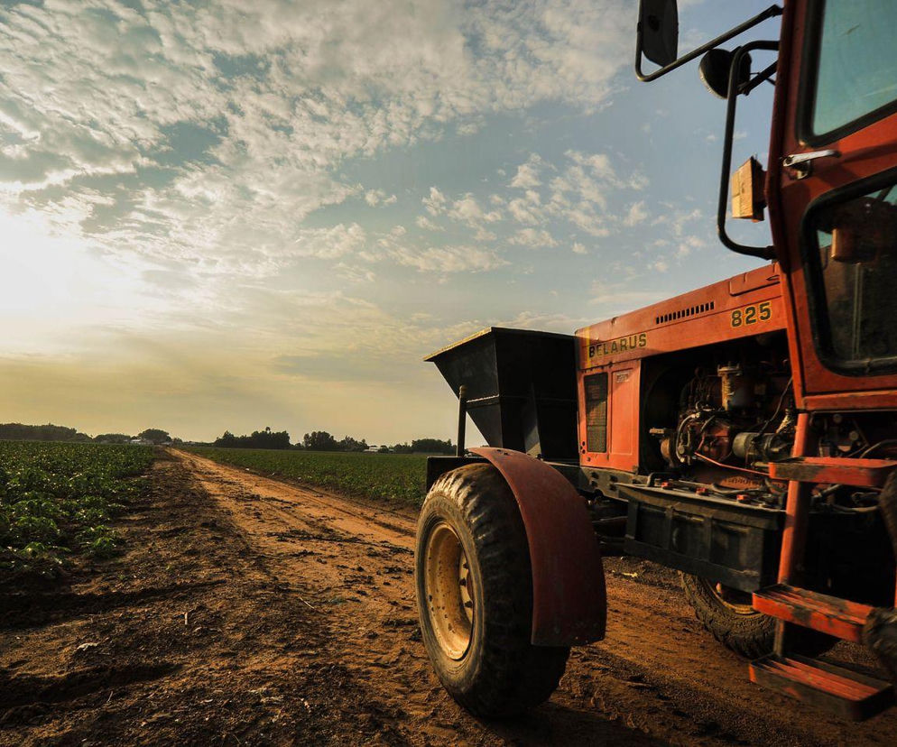 Czerwony traktor Belarus 825 z osprzętem na wiejskiej drodze gruntowej, otoczonej zielonymi polami uprawnymi, pod zachmurzonym, jasnym niebem. Symbolizuje przygotowanie maszyn rolniczych do pracy i wagę przeglądów, o czym więcej przeczytasz na Super Biznes.