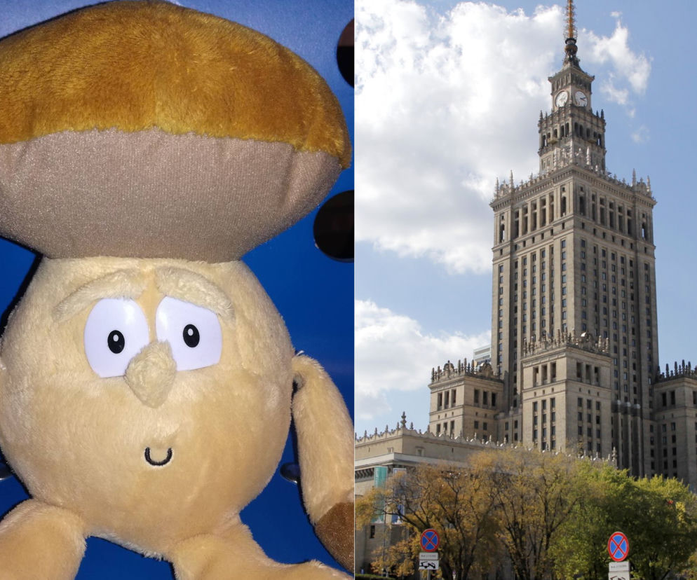 Zdjęcie ilustracyjne