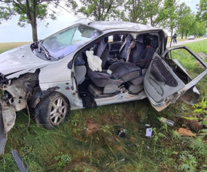Jatwieź Duża. Wypadek: Kierowca renault rozbił się na drzewie [ZDJĘCIA]