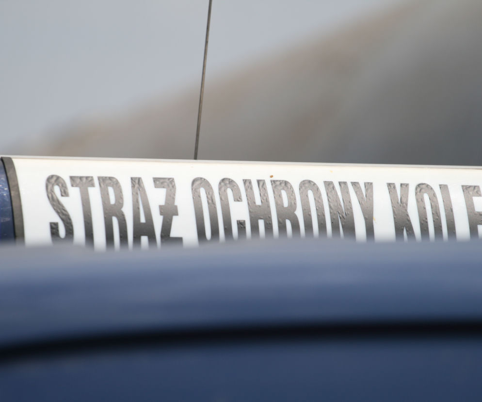 Uzbrojony mężczyzna został zatrzymany przez Straż Ochrony Kolei.