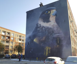 Murale namalowane w ramach pleneru artystycznego