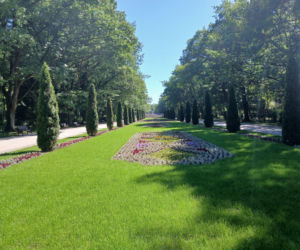 Przebudowa parku Planty w Białymstoku