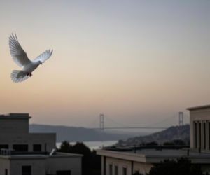 Zawieszenie broni na Bliskim Wschodzie. Dlaczego Izrael nie jest zadowolony?