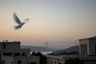 Zawieszenie broni na Bliskim Wschodzie. Dlaczego Izrael nie jest zadowolony?