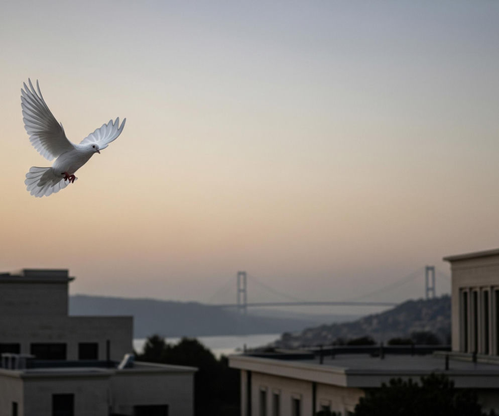 Biały gołąb z rozłożonymi skrzydłami leci w lewą stronę, jego różowe nogi są podwinięte. Pod nim widoczne są dachy kilku budynków w kolorze beżowo-szarym, z ciemnymi oknami i elementami dachowymi. W tle rozciąga się zatoka lub rzeka, nad którą rozciąga się długi most wiszący z dwoma pylonami, a horyzont jest rozmyty i zmienia kolor od jasnego beżu po błękit.