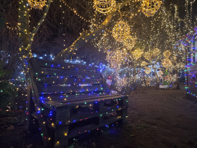 Bydgoski dom Griswoldów znów zachwyca. 300 tysięcy lampek robi niesamowity efekt