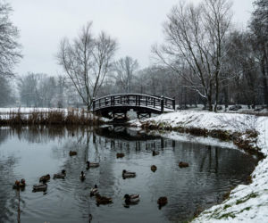 Skawiński park w zimowej otoczce