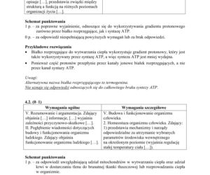 Matura 2018 z biologii [ARKUSZE CKE, ODPOWIEDZI]