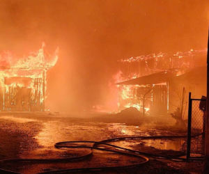 Pożar w Kościerzynie. Policjanci wynieśli z płonącego domu 94-latkę