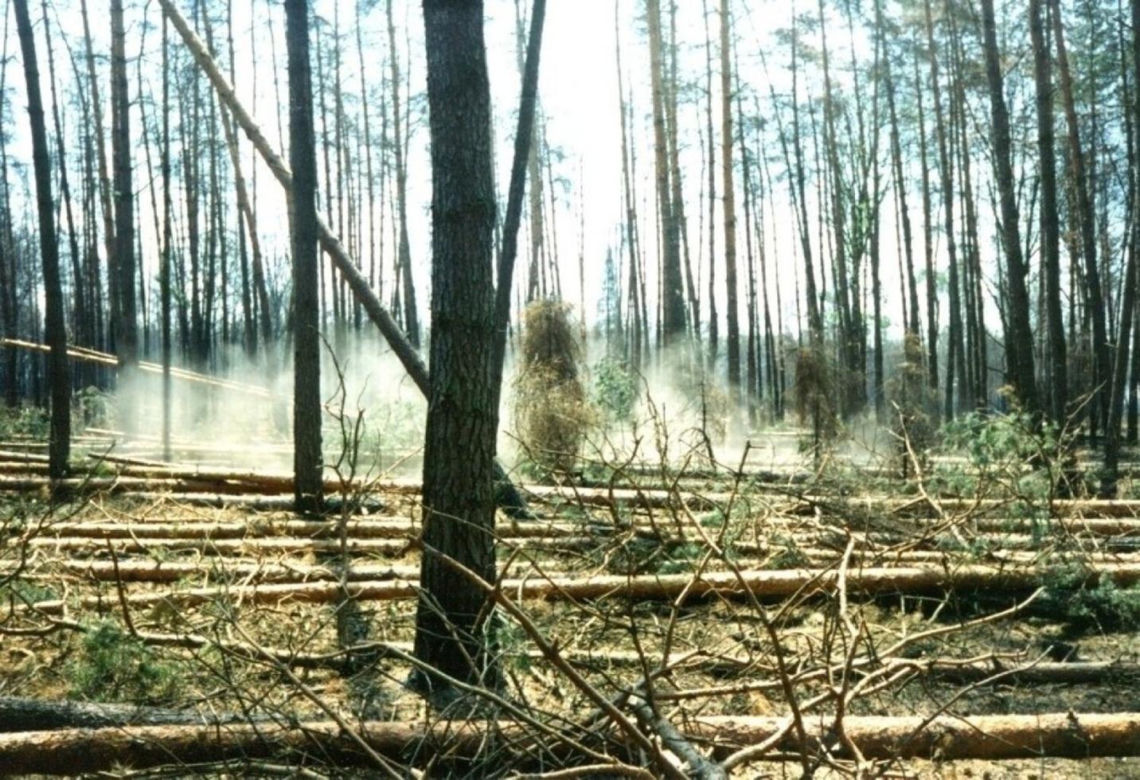Pożar lasu w Kuźni Raciborskiej w 1992 roku