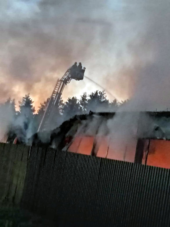Pożar hali  w Rudniku nad Sanem [GALERIA]