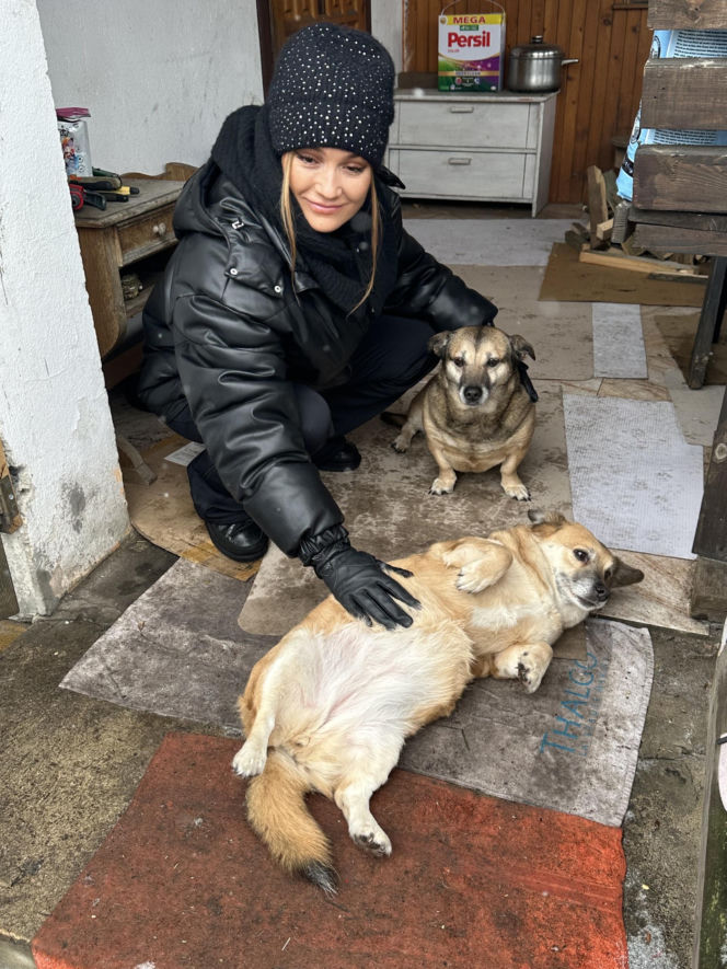 Joanna Krupa odwiedza schronisko dla zwierząt