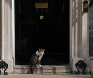 Andy Burnham został w poniedziałek 59. premierem Wielkiej Brytanii - potwierdził Pałac Buckingham