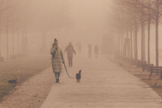 Alarm pogodowy! Mgły i mróz sparaliżują Polskę. IMGW ostrzega przed „zgniłym wyżem”