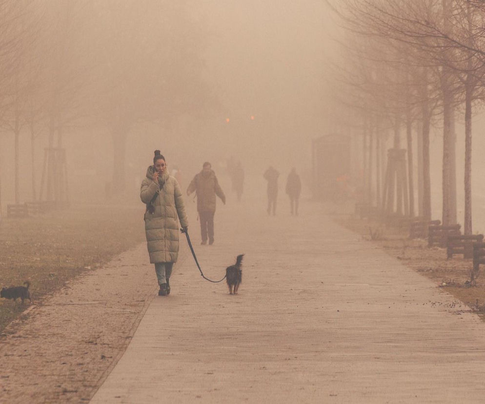 Alarm pogodowy! Mgły i mróz sparaliżują Polskę. IMGW ostrzega przed „zgniłym wyżem”