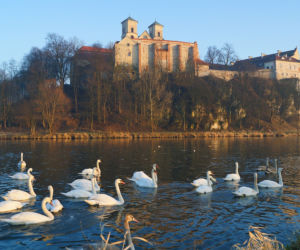 Kraków