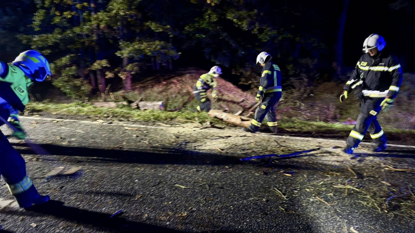Drzewo runęło na jadący samochód! O krok od tragedii na DK 10 pod Bydgoszczą