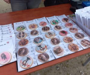 Niemałe pieniądze z akcji „Ciastko z Misją”. Dla schroniska w Henrykowie koło Leszna